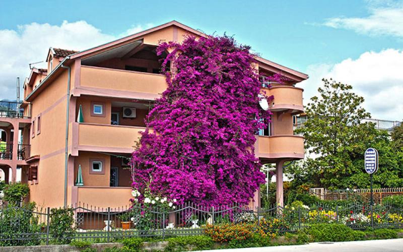 Apartmani i Sobe Marčić, Šušanj - Crna Gora - Apartments and Rooms Marčić, Šušanj - Montenegro