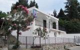 Apartmani Exclusive, Sutomore - Crna Gora - Apartments Exclusive, Sutomore - Montenegro